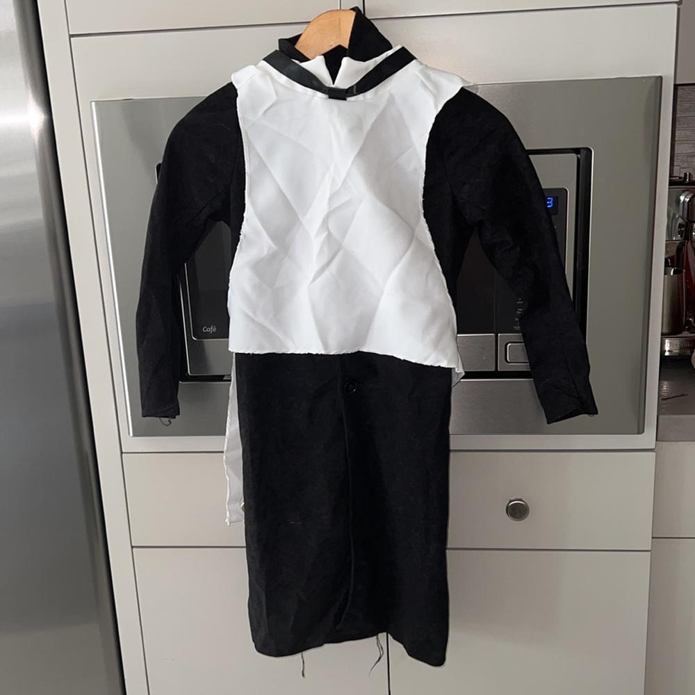 Costume - Picture 2 of 5